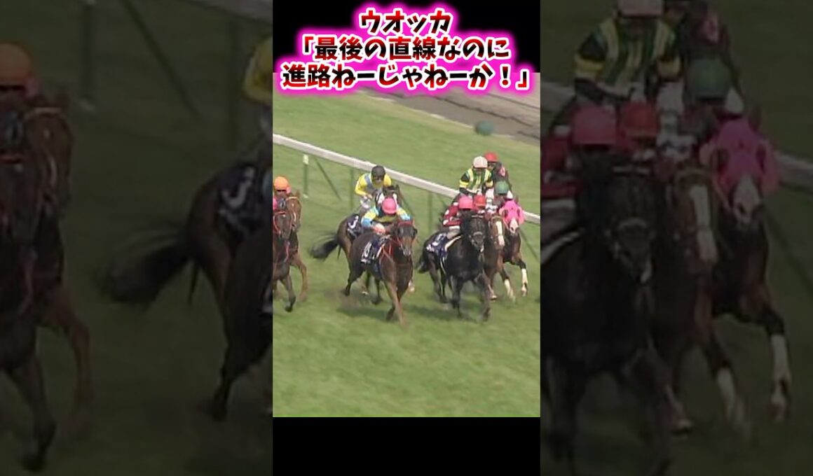 ウオッカ｢最後の直線なのに進路ねーじゃねーか！！｣【競馬反応集】 #ウオッカ　#安田記念　#2009年