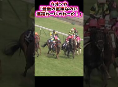 ウオッカ｢最後の直線なのに進路ねーじゃねーか！！｣【競馬反応集】 #ウオッカ　#安田記念　#2009年