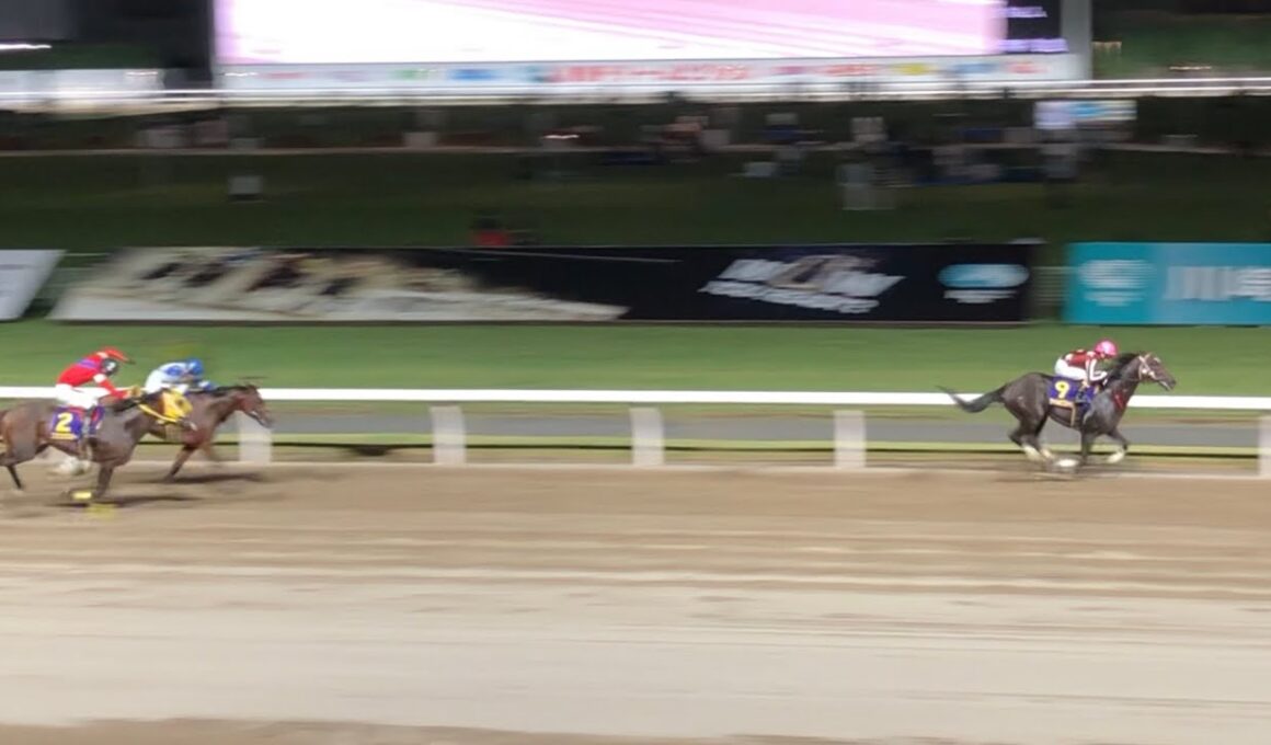 《南関》2025 戸塚記念 ナイトオブファイア 矢野貴之 川崎競馬場