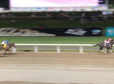 《南関》2025 戸塚記念 ナイトオブファイア 矢野貴之 川崎競馬場