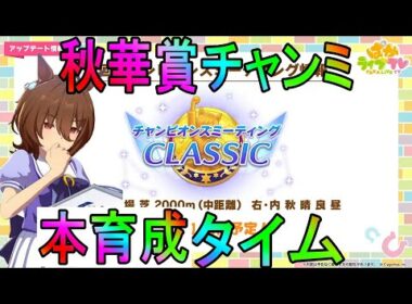 【ウマ娘】秋華賞チャンミ用仮育成するおとこ　day8【初見さん歓迎】