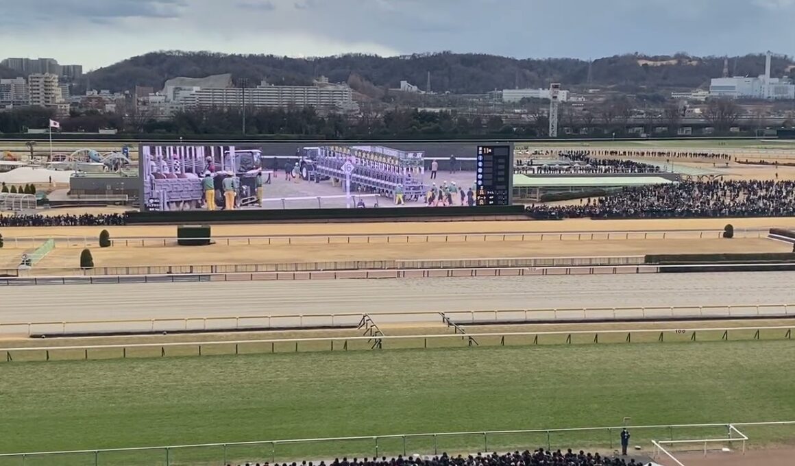 フェブラリーステークス2025現地映像［ファンファーレ付き］