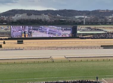 フェブラリーステークス2025現地映像［ファンファーレ付き］