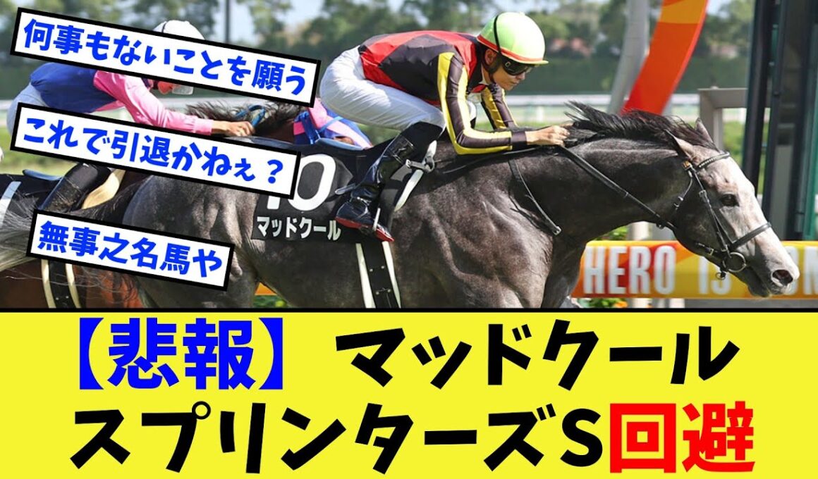 【競馬】【悲報】マッドクール、繋靭帯の腫れによりスプリンターズS回避に対する反応集【競馬の反応集】