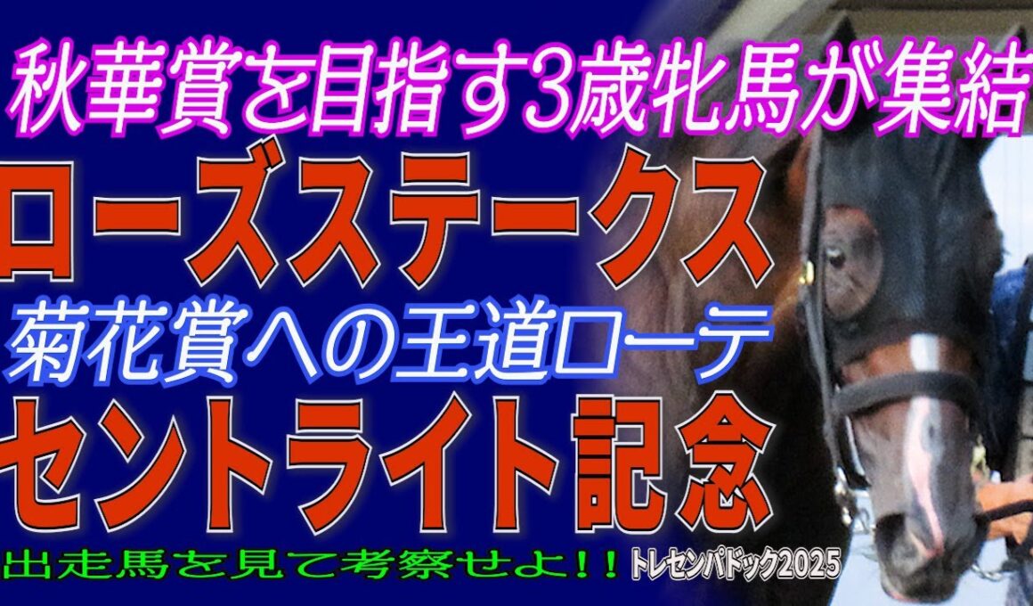 秋華賞を目指す3歳牝馬が集結《ローズS》菊花賞への王道ローテ《セントライト記念》出走馬を見て勝馬を考察せよ！！【トレセンパドック2025】