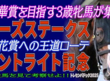 秋華賞を目指す3歳牝馬が集結《ローズS》菊花賞への王道ローテ《セントライト記念》出走馬を見て勝馬を考察せよ！！【トレセンパドック2025】