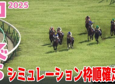 【ローズステークス2025】シミュレーション枠順確定版 オークス馬カムニャックは6枠11番！オークス4着のパラディレーヌは3枠5番！激戦フルゲートの秋華賞トライアル！！【競馬予想】