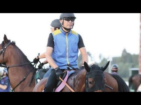 🌹🐎タイセイプランセス、秋華賞へ挑戦！抽選突破なるか――第43回ローズステークスで試される瞬発力⚡✨