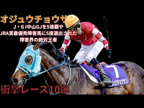 【オジュウチョウサン】衝撃レース10選　〜J・G I中山GJを5連覇やJRA賞最優秀障害馬に5度選出された障害界の絶対王者〜　#競馬 #オジュウチョウサン #石神深一 #中山GJ #中山大障害