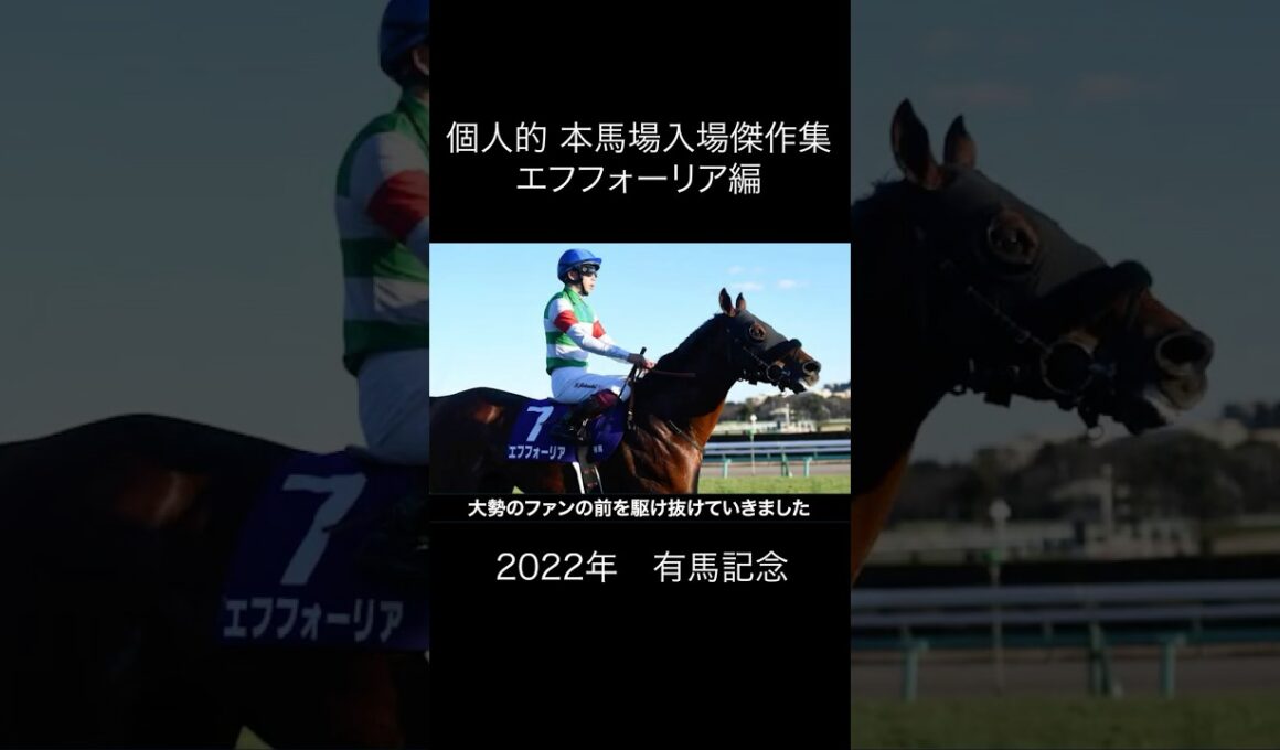 本馬場入場傑作集 エフフォーリア編