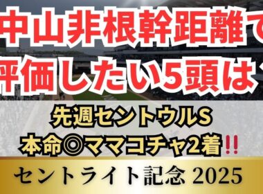 【セントライト記念2025】昨年はこのトライアルから菊花賞馬が誕生。昨年のアーバンシックを超える逸材は⁉先週セントウルS本命◎ママコチャ2着
