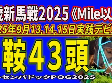 【2歳新馬戦2025】７鞍出走４３頭の若駒の姿を。２０２５年９月１３、１４、１５日《Mile以上》新潟・中京・実戦デビュー！《トレセンパドックPOG2025》あなたの推しを探し出そう！★修正版