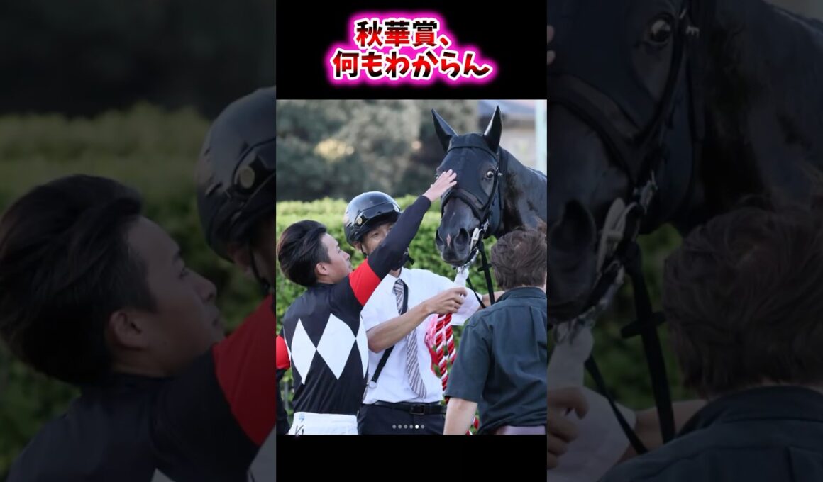 秋華賞、何もわからん【競馬反応集】 #エンブロイダリー #アルマヴェローチェ #カムニャック #ケリフレッドアスク