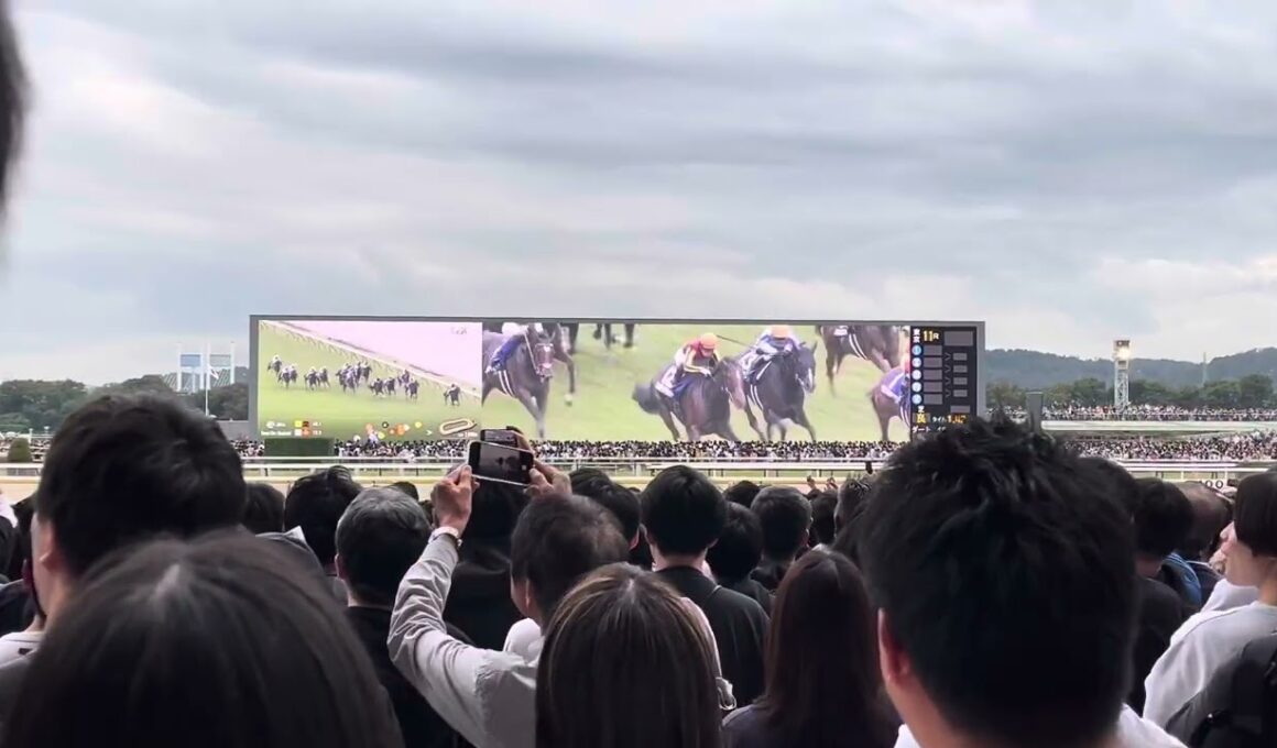 【2024 天皇賞 秋】ドウデュース&武豊大ファンの魂の叫び