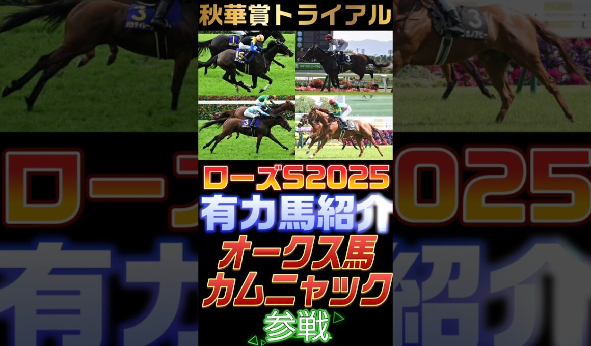 【🏇ローズS2025有力馬紹介🔥】秋華賞の切符を懸けた1戦！オークス馬カムニャック参戦！#競馬 #競馬予想 #ローズS2025 #short #shorts