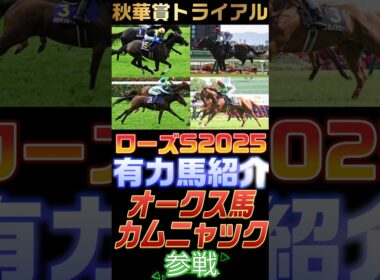 【🏇ローズS2025有力馬紹介🔥】秋華賞の切符を懸けた1戦！オークス馬カムニャック参戦！#競馬 #競馬予想 #ローズS2025 #short #shorts