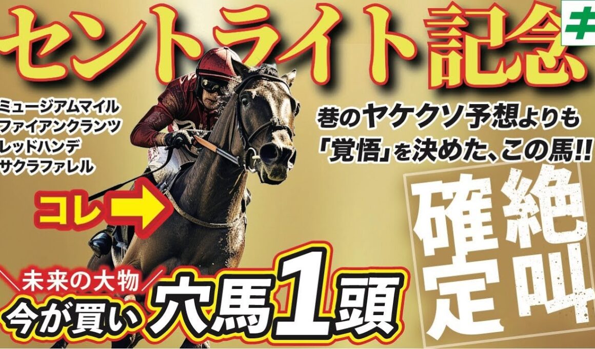 セントライト記念 2025【穴馬/予想】「菊花賞でもやれる」今が買い！未来の大物を狙い撃ち！！