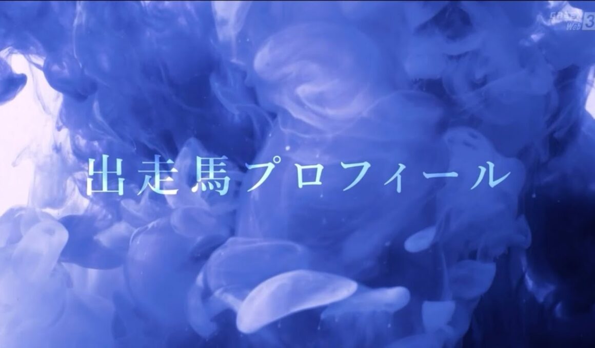日本ダービー（2024）出走馬プロフィール