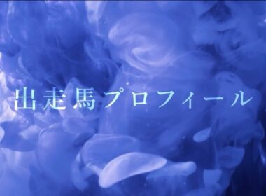 日本ダービー（2024）出走馬プロフィール
