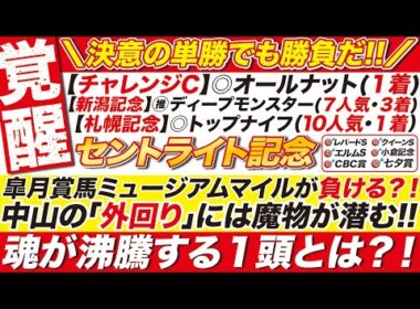 【衝撃】えっ？！皐月賞馬ミュージアムマイルが負ける？！→【セントライト記念2025予想】中山の「外回り」に潜む魔物とは？この１頭に全てを託す！