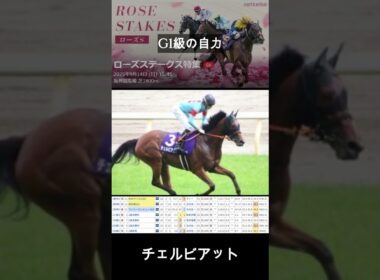 【ローズS】G1級の能力と歴代屈指の末脚に期待したい穴馬とは？/テレサ他推奨3頭 #ローズS #競馬 #阪神競馬場