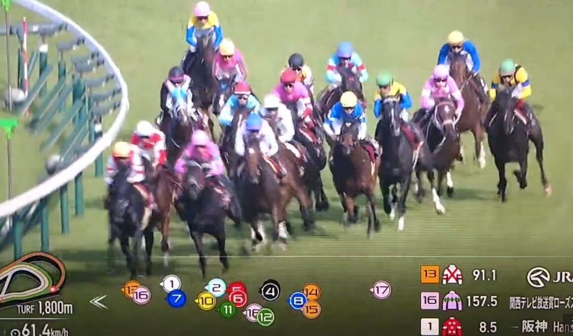 2025 第43回ローズステークス(G2・秋華賞TR)【オークス馬カムニャック秋初戦】