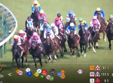 2025 第43回ローズステークス(G2・秋華賞TR)【オークス馬カムニャック秋初戦】