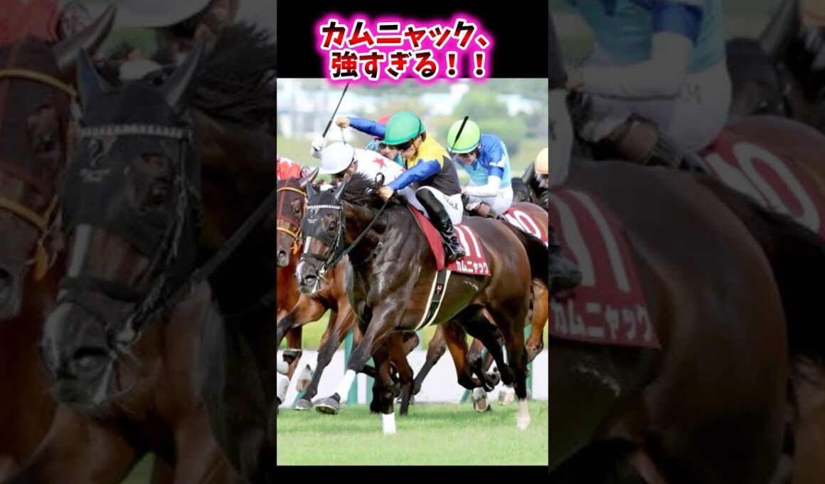 カムニャック、強すぎる！！【競馬反応集】 #カムニャック #ローズステークス #秋華賞