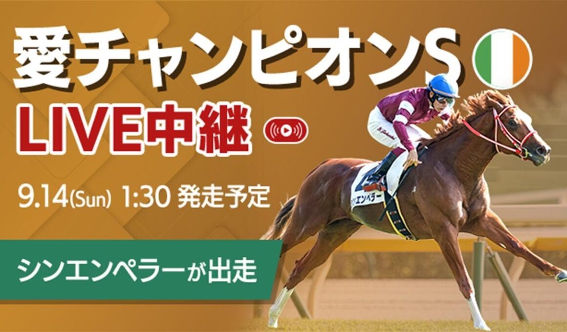 【LIVE】2025アイリッシュチャンピオンステークス