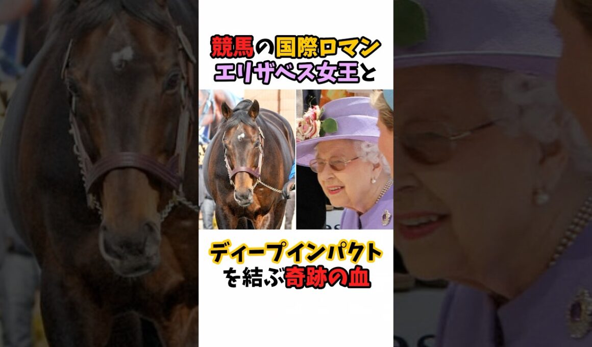 競馬の国際ロマンエリザベス女王とディープインパクトを結ぶ奇跡の血#競馬#horse