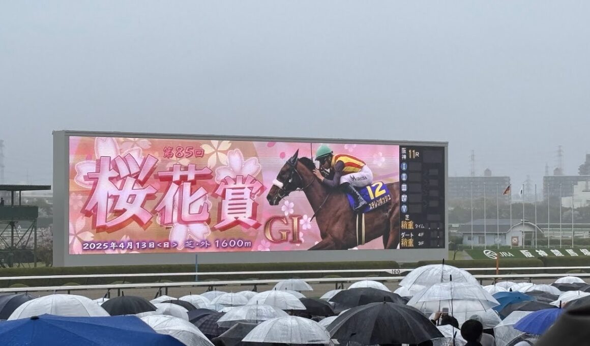 【マジックマン】2025年 桜花賞 エンブロイダリー 現地映像 ファンファーレ〜ウイニングランまで