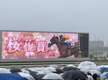 【マジックマン】2025年 桜花賞 エンブロイダリー 現地映像 ファンファーレ〜ウイニングランまで
