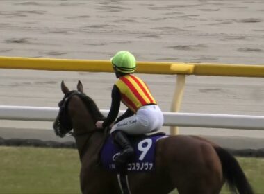 【馬場入場追加版】2025 02 23 第42回フェブラリーステークス　東京競馬場第11レース