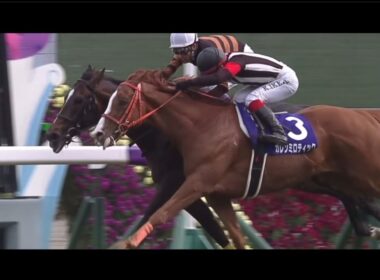【競馬】大接戦名レース集