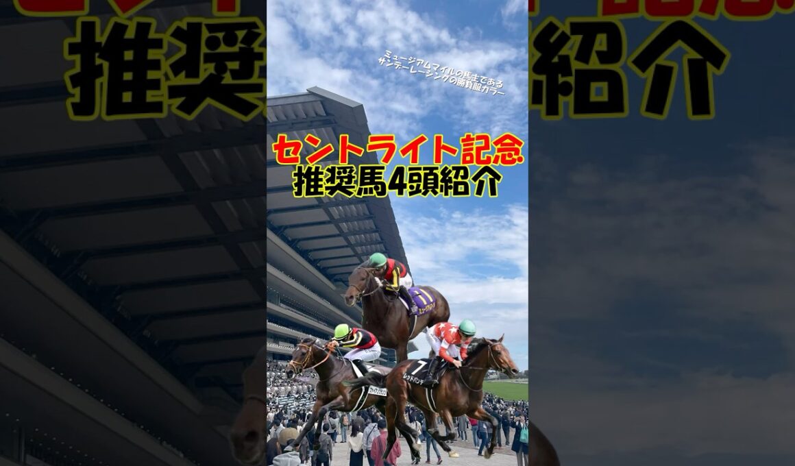【セントライト記念2025 推奨馬を4頭紹介】皐月賞馬ミュージアムマイルの始動戦!! #shorts #競馬予想 #セントライト記念