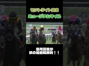 【競馬】皐月賞馬ミュージアムマイルが戸崎騎手と初コンビで勝利！！ #競馬 #horseracing #競馬予想 #セントライト記念 #中山競馬場 #戸崎圭太
