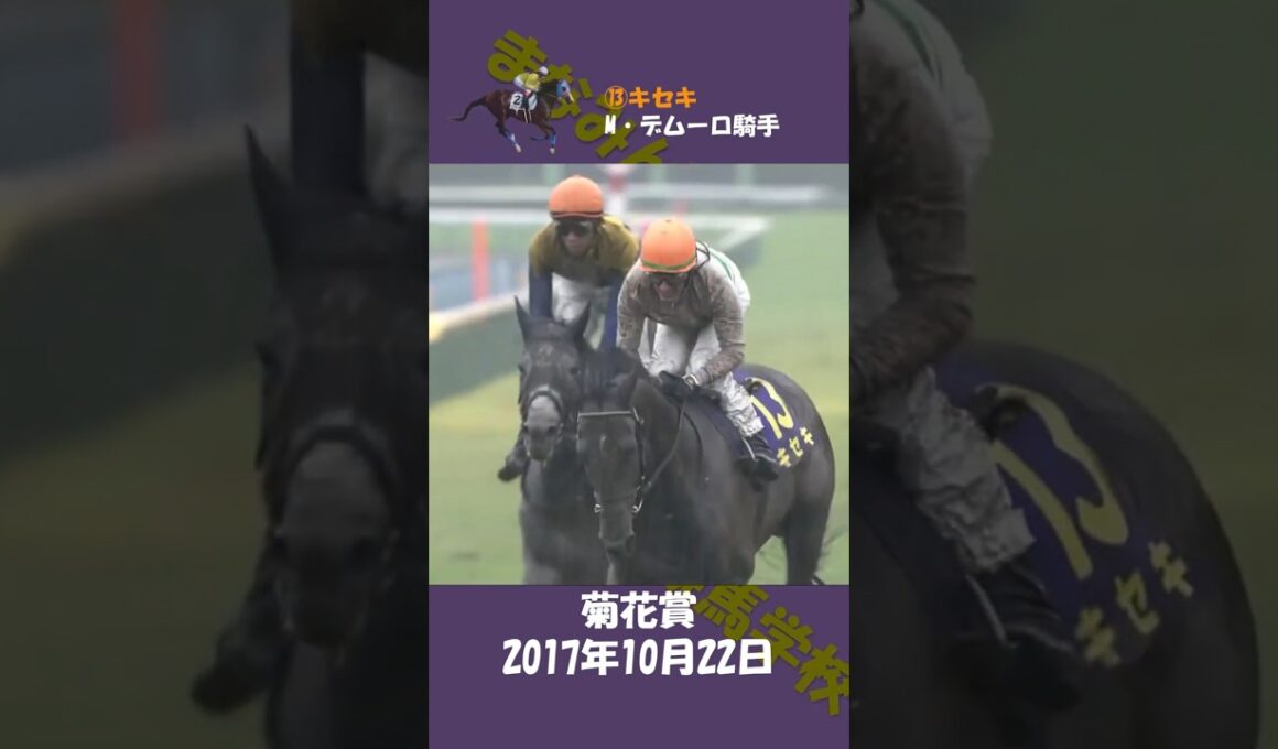 2017年菊花賞 #競馬