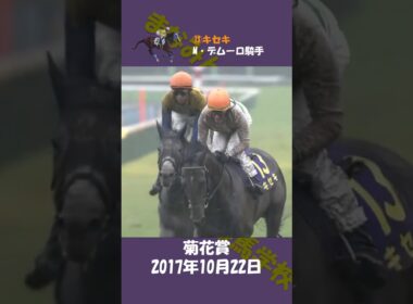 2017年菊花賞 #競馬