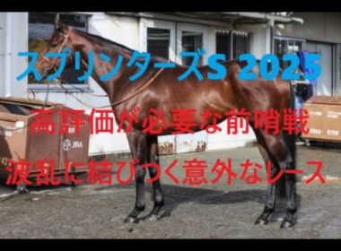 スプリンターズステークス 2025 前哨戦の評価 波乱に結びつく意外なレース
