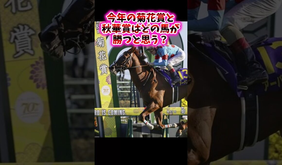今年の菊花賞と秋華賞は誰が勝つと思う？【競馬反応集】　#JRA　#菊花賞　#秋華賞