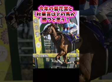 今年の菊花賞と秋華賞は誰が勝つと思う？【競馬反応集】　#JRA　#菊花賞　#秋華賞