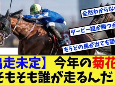 【競馬】今年の菊花賞、混戦以前にそもそも誰が走るんだ？に対する反応集【競馬の反応集】