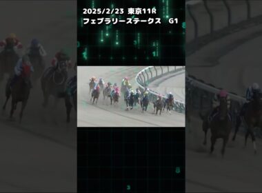フェブラリーステークス　もちおの当たらない予想　#競馬 #競馬予想動画 #中央競馬予想 #フェブラリーステークス
