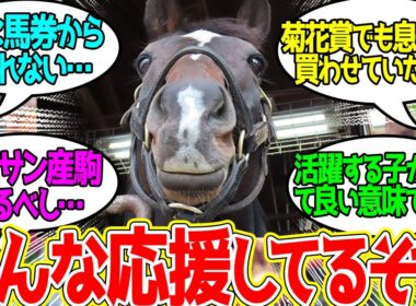 キタサン「僕の子供達がついに菊花賞に複数頭出そうで嬉しいです」に対するみんなの反応！【競馬 の反応集】