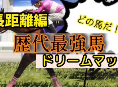 【歴代最強馬】　―長距離編―　この馬で決まり！8冠馬を決めるにはこれしかないっしょ！