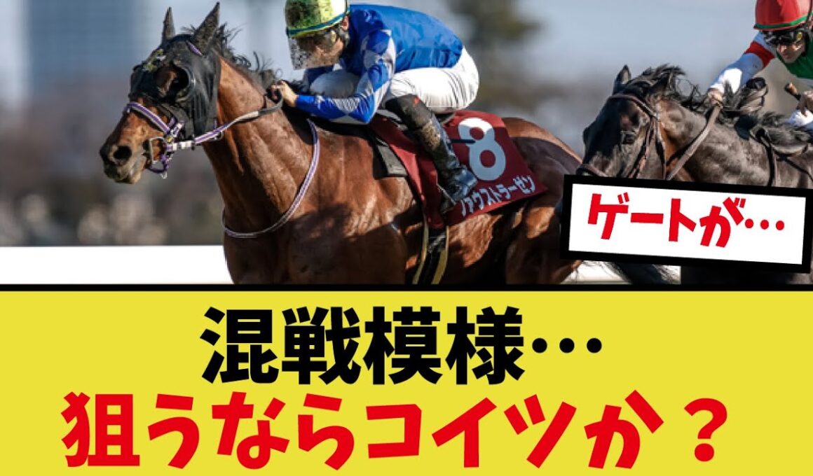 「今年の菊花賞って誰が出るんだ？」に対するみんなの反応集