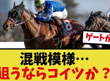 「今年の菊花賞って誰が出るんだ？」に対するみんなの反応集