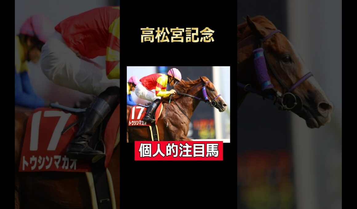 ないのはG1ただそれだけ！トウシンマカオ！高松宮記念個人的注目馬#高松宮記念2025 #中京競馬場 #トウシンマカオ