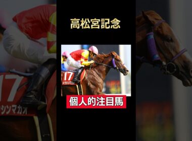ないのはG1ただそれだけ！トウシンマカオ！高松宮記念個人的注目馬#高松宮記念2025 #中京競馬場 #トウシンマカオ
