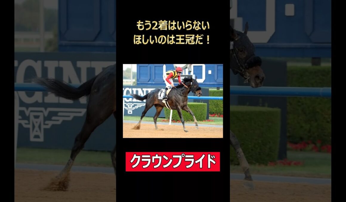 銀の王冠はもういらない。クラウンプライドがチャンピオンズCで本物の王冠を狙いに行く！ #競馬 #ウマ娘 #チャンピオンズカップ #クラウンプライド